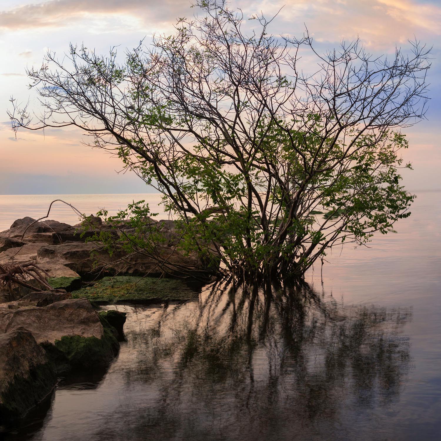 Gallery Image img-thumbnail 