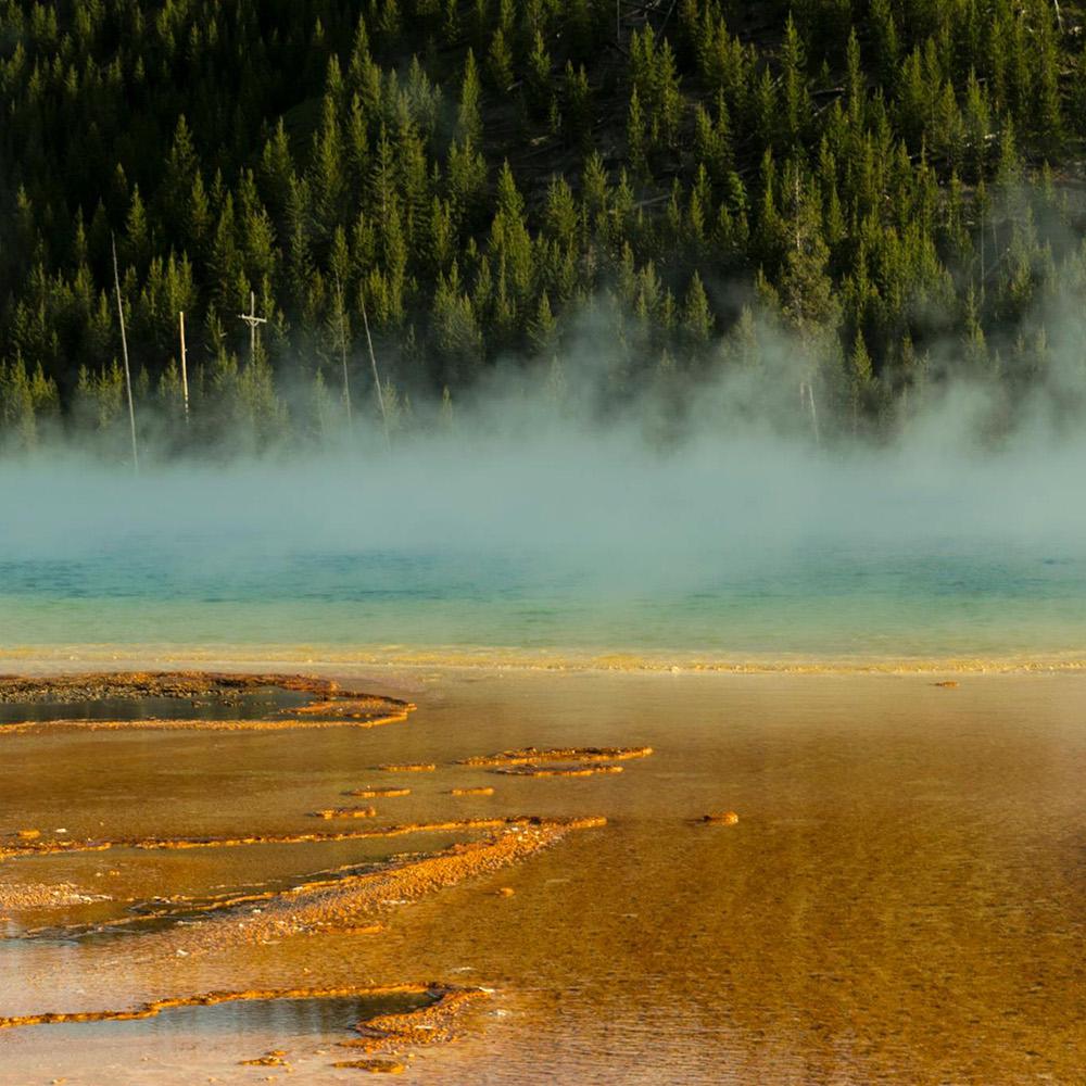 Gallery Image img-thumbnail 