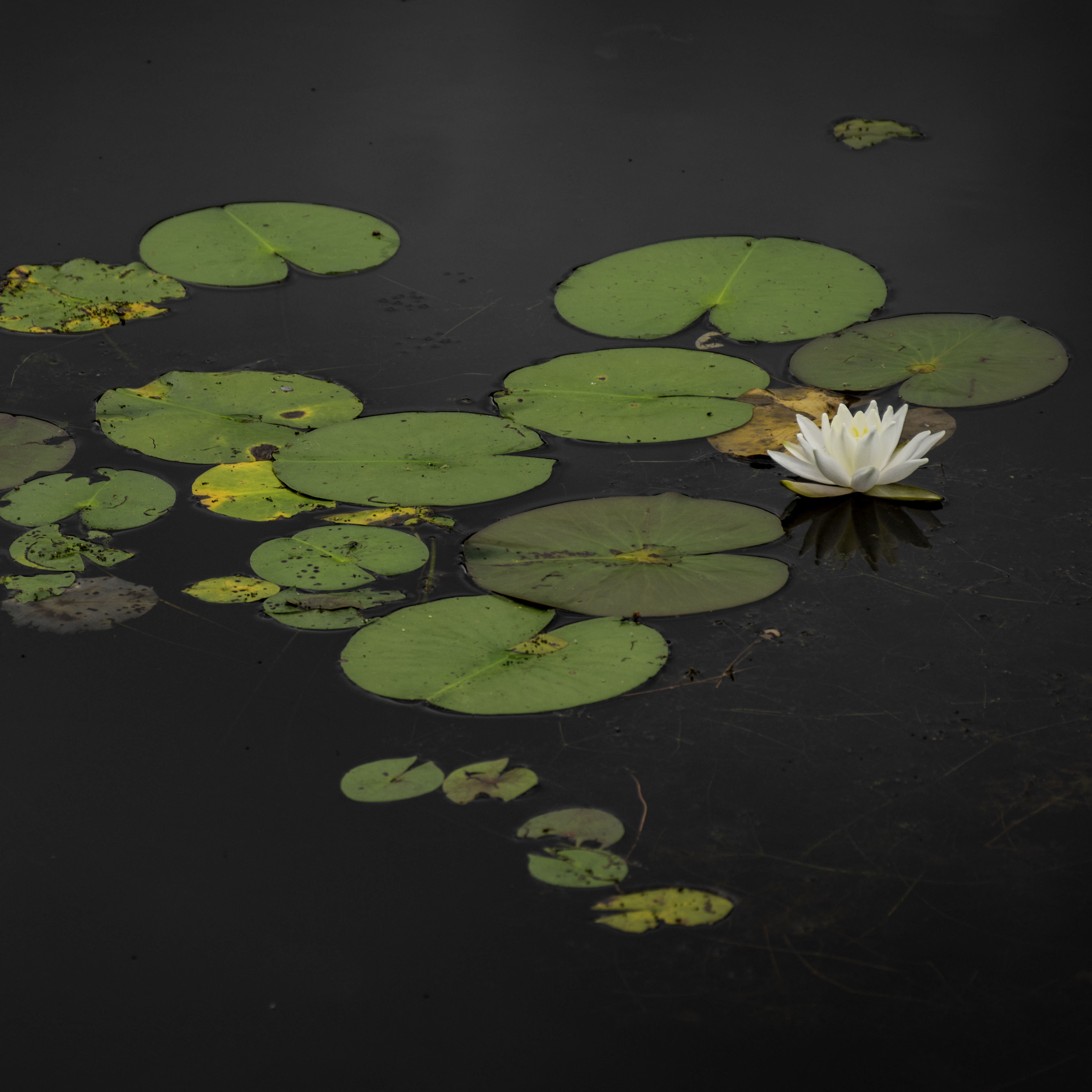 Gallery Image img-thumbnail 